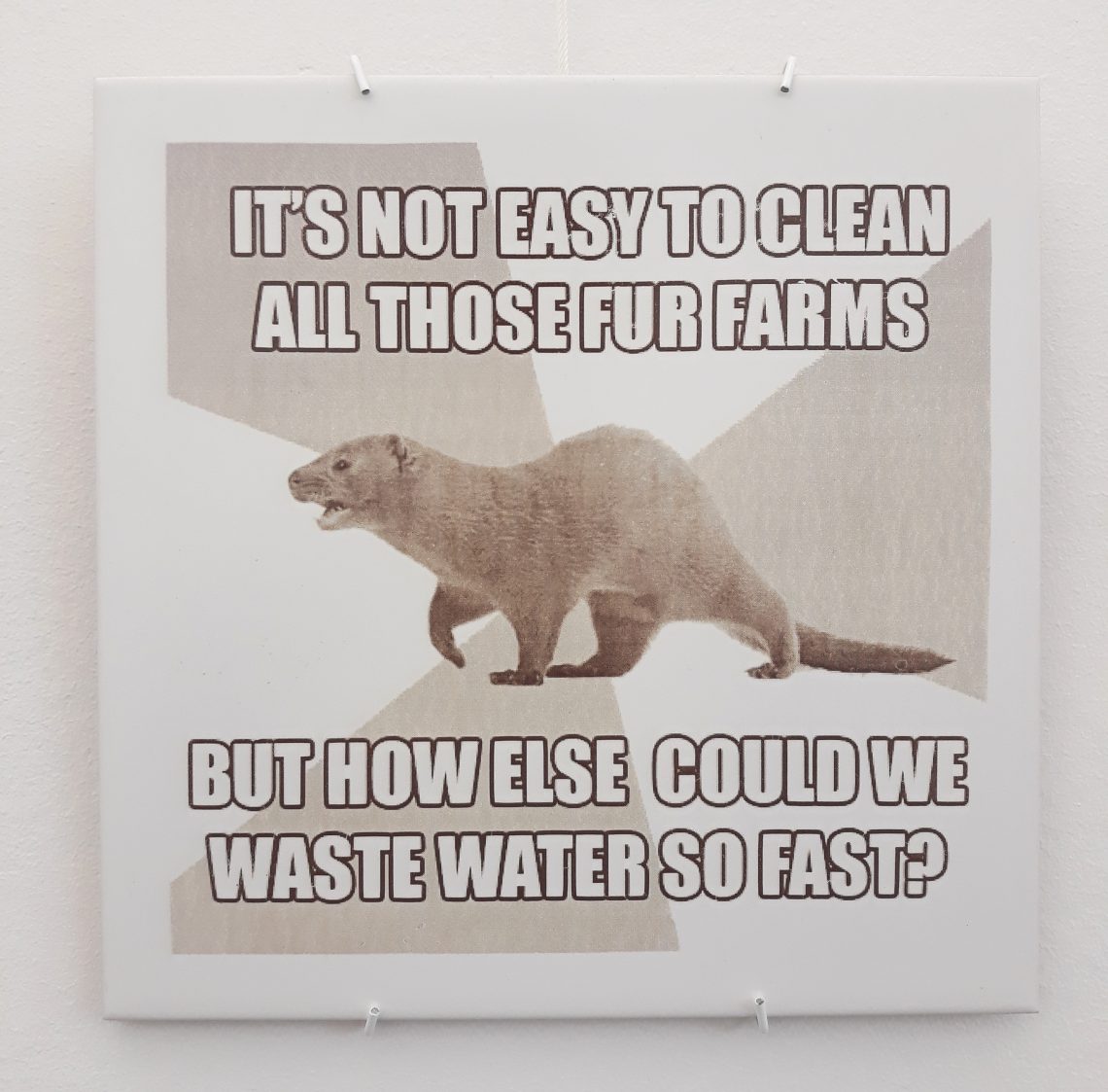 It‘s Funny But It Isn‘t